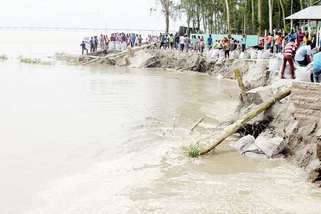 বঙ্গবন্ধু সেতু রক্ষা বাঁধ ভেঙে ৭ গ্রাম বিলীন হওয়ার আশঙ্কা
