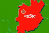 নাটোরের লালপুরে কুকুরের কামড়ে শিশুসহ আহত ৮