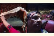 ভারত থেকে আসা বাসে পাথরের আঘাত: গ্লাস ভেঙে আহত ভারতীয় নাগরিক