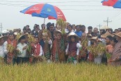 চেষ্টা করব কৃষকরা যাতে ধানের সঠিক মূল্য পায় : হাওরে ধান কেটে কৃষিমন্ত্রী

