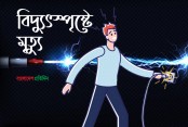 গাংনীতে বিদ্যুৎস্পৃষ্টে কৃষকের মৃত্যু 