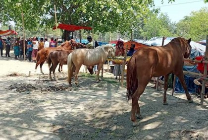 ২০০ বছরের ঐতিহ্যবাহী ‘বুড়া চিন্তামন ঘোড়ার মেলা’